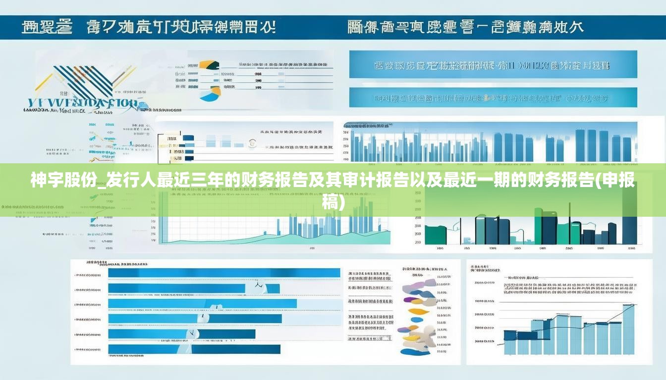 神宇股份_发行人最近三年的财务报告及其审计报告以及最近一期的财务报告(申报稿)